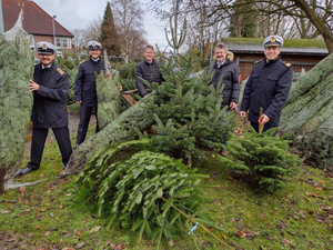 Verkauf Weihnachtsbäume