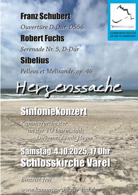 Herzenssache- Konzert des Kammerorchesters der TU Darmstadt in der Schlosskirche.