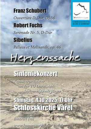 Herzenssache- Konzert des Kammerorchesters der TU Darmstadt in der Schlosskirche.