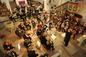 Neues Wilhelmshavener Sinfonieorchester